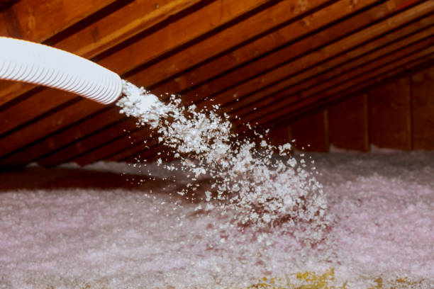 Best Insulation Maintenance and Repair in Mauriceville, TX