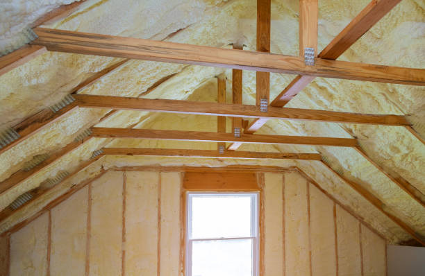 Best Types of Insulation in Mauriceville, TX